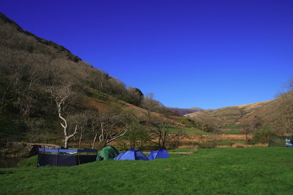 Camping at Llyn Gwynant in Snowdonia Picture Board by Jeremy Hayden