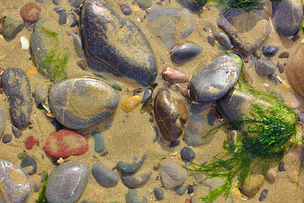 Pebbles on the Beach Picture Board by Jeremy Hayden