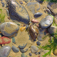 Buy canvas prints of Pebbles on the Beach by Jeremy Hayden
