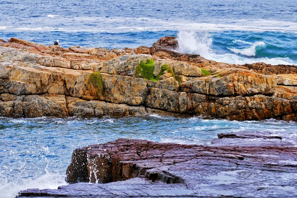 Rocks and Breaking Waves at Hermanus Picture Board by Jeremy Hayden