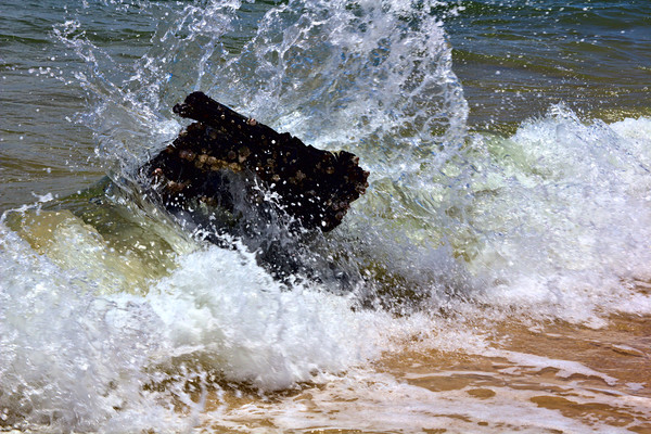 Wave Breaking with a Splash Picture Board by Jeremy Hayden