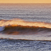 Buy canvas prints of Wave Breaking in the Morning Sun by Jeremy Hayden
