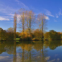 Buy canvas prints of Trees In Autumn Reflections by Jeremy Hayden