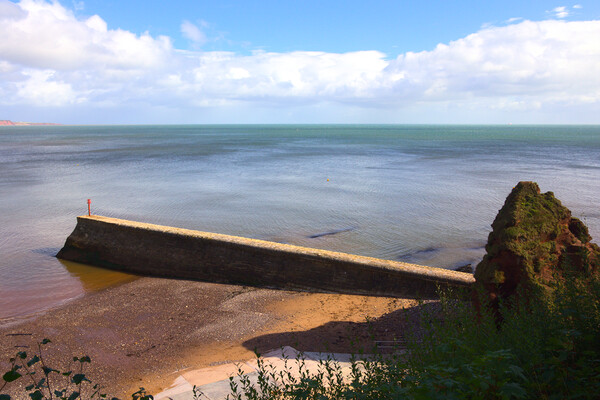 Dawlish Sea View Picture Board by Jeremy Hayden