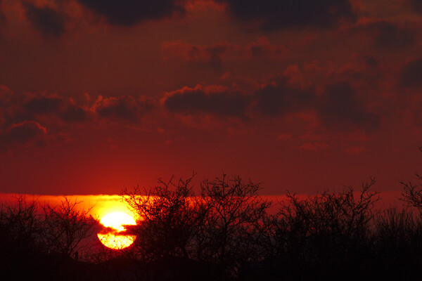 Cloudy Northamptonshire Sunset Picture Board by Jeremy Hayden