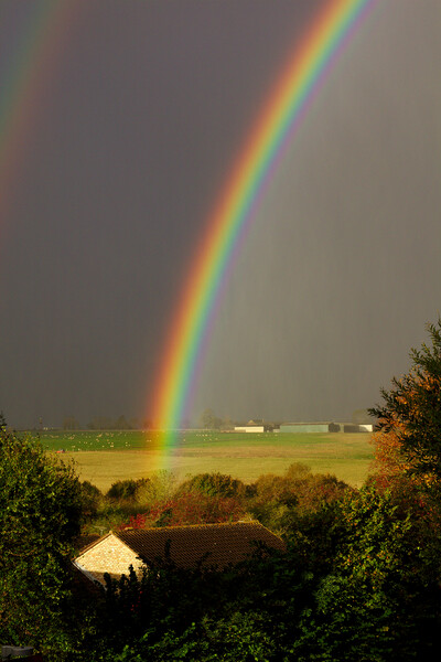 Rainbow over the farm Picture Board by Jeremy Hayden