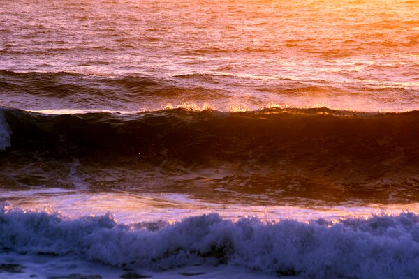 Umdloti Beach Sunrise on the Waves Picture Board by Jeremy Hayden