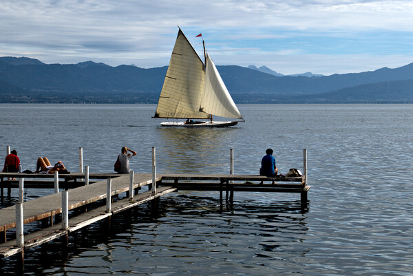 Sailing on Lake Geneva at Plage de Perroy Picture Board by Jeremy Hayden