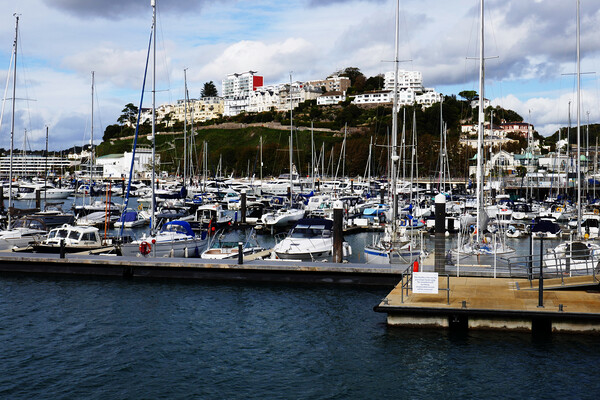 Sea of Masts in Torquay Picture Board by Jeremy Hayden