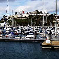 Buy canvas prints of Sea of Masts in Torquay by Jeremy Hayden