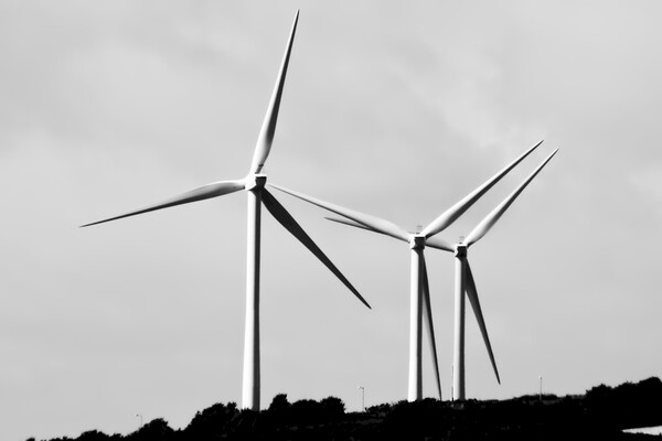 Wind Power Pointing the Way in Pembrokeshire Picture Board by Jeremy Hayden