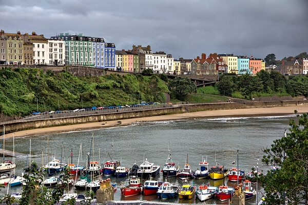 Tenby Across the Harbour and Beach Picture Board by Jeremy Hayden