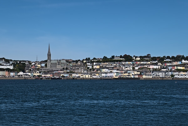 Cobh Skyline from Spike Island Picture Board by Jeremy Hayden