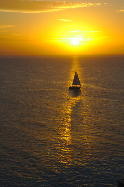 Sailing in the Sunrise at Tenby Picture Board by Jeremy Hayden