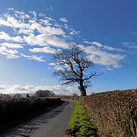 Buy canvas prints of millhalf lane by paul ratcliffe