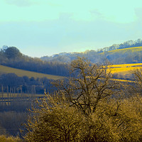 Buy canvas prints of the wye valley , herefordshire by paul ratcliffe
