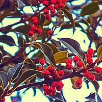Buy canvas prints of berries by paul ratcliffe