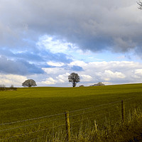 Buy canvas prints of arable fields at kington herefordshire by paul ratcliffe