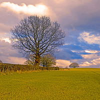 Buy canvas prints of field view apostle farm kington herefordshire by paul ratcliffe