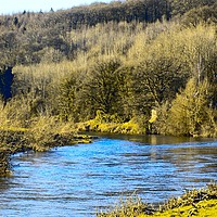 Buy canvas prints of wye river at whitney on wye by paul ratcliffe