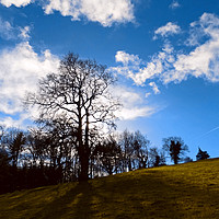 Buy canvas prints of merbach hill herefordshire by paul ratcliffe