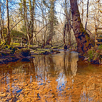 Buy canvas prints of woodland stream by paul ratcliffe