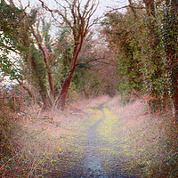 Buy canvas prints of disused rail line by paul ratcliffe