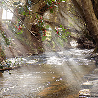 Buy canvas prints of a peacefull spot by paul ratcliffe