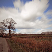 Buy canvas prints of bishops lane ,herefordshire by paul ratcliffe