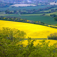 Buy canvas prints of rapeseed landscape herefordshire by paul ratcliffe