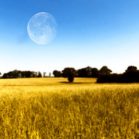 Buy canvas prints of moon field by paul ratcliffe