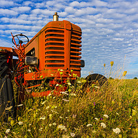 Buy canvas prints of Bright Red Tractor by Paul Cullen