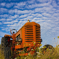 Buy canvas prints of Little red Tractor by Paul Cullen