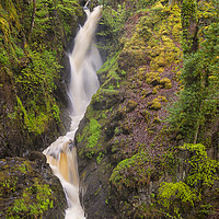 Buy canvas prints of Aira Force by Paul Cullen
