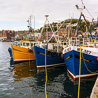 Buy canvas prints of Oban Harbour, Oban, Argyle, Scotland. 28th August  by Paul Cullen