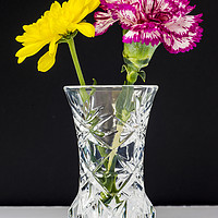 Buy canvas prints of Chrysanthemums and Carnation in a lead crysal vase by Paul Cullen