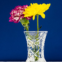Buy canvas prints of Chrysanthemums and Carnation in a lead crysal vase by Paul Cullen