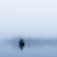 Buy canvas prints of Minimalist Tree in the fog. by Paul Cullen