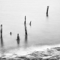 Buy canvas prints of Old Posts in Abstract - Monochrome by Paul Cullen