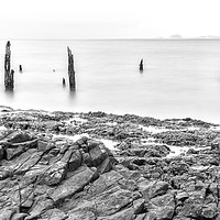 Buy canvas prints of The Old Posts at Lindisfarne - Monochrome by Paul Cullen