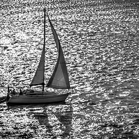 Buy canvas prints of Sailing Home by Mick Sadler ARPS