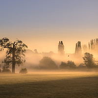 Buy canvas prints of Misty Morning by Mick Sadler ARPS