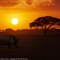 Buy canvas prints of White Rhino At Sunset by Steve de Roeck
