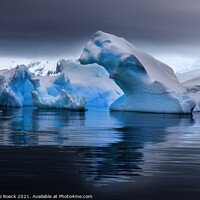 Buy canvas prints of Glacial Bear by Steve de Roeck