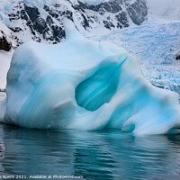 Buy canvas prints of Ice Skull 2 by Steve de Roeck