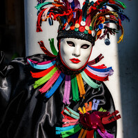 Buy canvas prints of Carnival Costume by Steve de Roeck