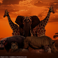 Buy canvas prints of Wild Africa by Steve de Roeck