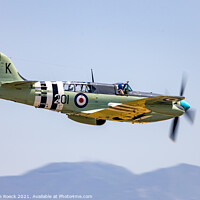 Buy canvas prints of Fairey Firefly Royal Navy Fighter by Steve de Roeck
