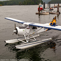 Buy canvas prints of De Havilland Beaver Floatplane Taxiing by Steve de Roeck