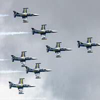 Buy canvas prints of Breitling Aviation Jets by Steve de Roeck